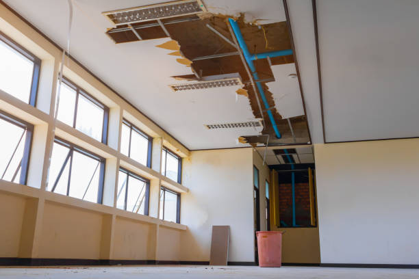 Best Professional water damage repair  in Fair Oaks, VA
