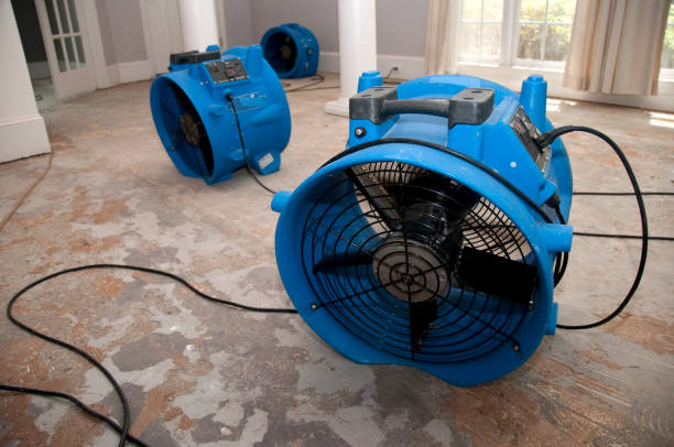 Best Basement water damage restoration  in Fair Oaks, VA