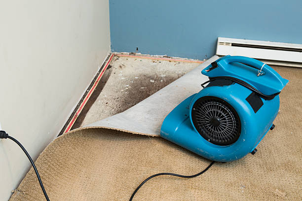 Best Water damage restoration near me  in Fair Oaks, VA